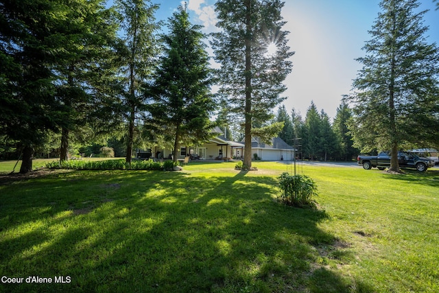 13 Park Dr, Spirit Lake, ID 83869 - view of grassy yard