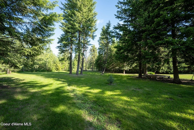 13 Park Dr, Spirit Lake, ID 83869 - view of grassy yard