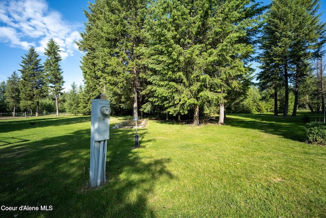 13 Park Dr, Spirit Lake, ID 83869 - view of grassy yard featuring view of scattered trees
