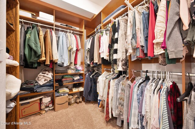 13 Park Dr, Spirit Lake, ID 83869 - walk in closet featuring carpet floors