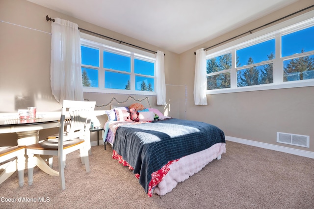 13 Park Dr, Spirit Lake, ID 83869 - carpeted bedroom featuring baseboards
