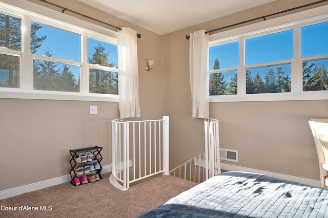 13 Park Dr, Spirit Lake, ID 83869 - unfurnished bedroom featuring carpet floors and baseboards