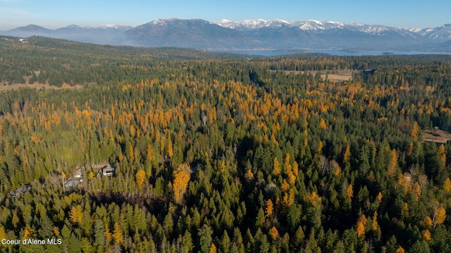 9816 Bottle Bay Rd, Sagle, ID 83860