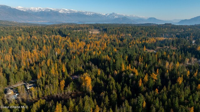 9816 Bottle Bay Rd, Sagle, ID 83860