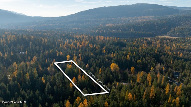 9816 Bottle Bay Rd, Sagle, ID 83860