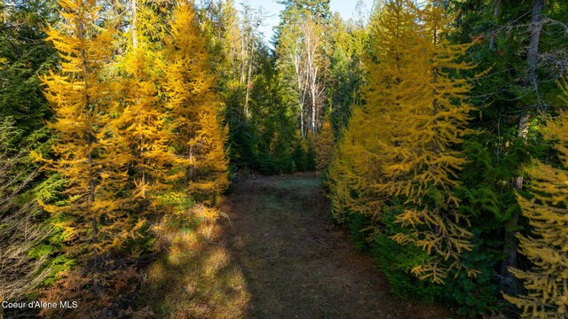 9816 Bottle Bay Rd, Sagle, ID 83860