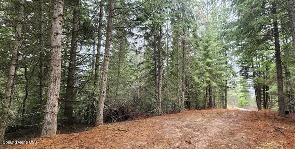 229 Henderson Lp, Kamiah, ID 83536