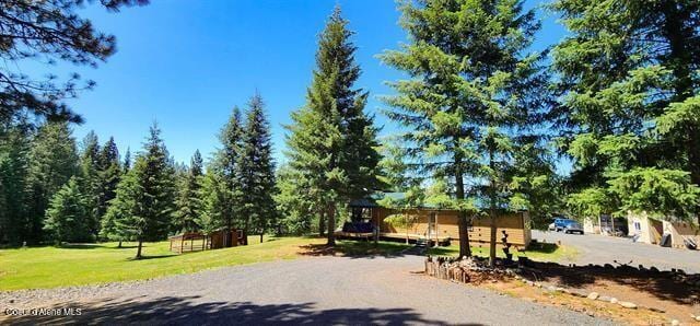 229 Henderson Lp, Kamiah, ID 83536 - view of road