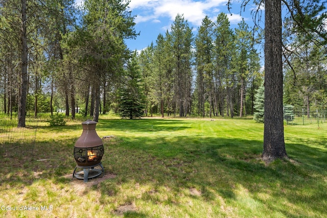 9307 Lakeshore Dr, Sagle, ID 83860 - view of yard