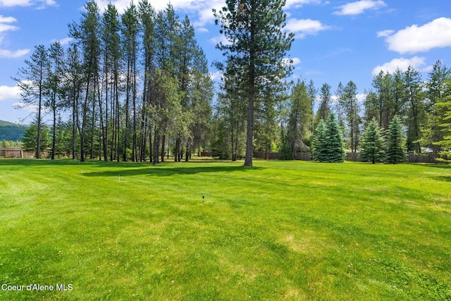9307 Lakeshore Dr, Sagle, ID 83860 - view of yard