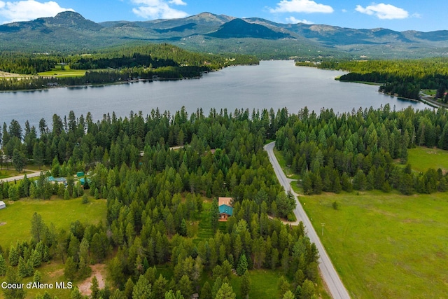 9307 Lakeshore Dr, Sagle, ID 83860 - bird's eye view of a water and mountain view and a heavily wooded area