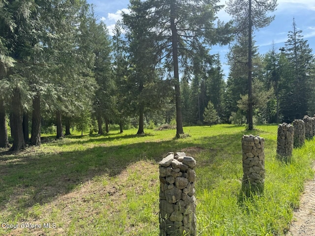 197 Berry Hl, Cocolalla, ID 83813 - view of grassy yard