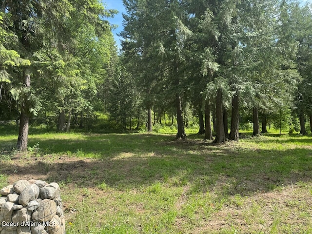 197 Berry Hl, Cocolalla, ID 83813 - view of undeveloped land
