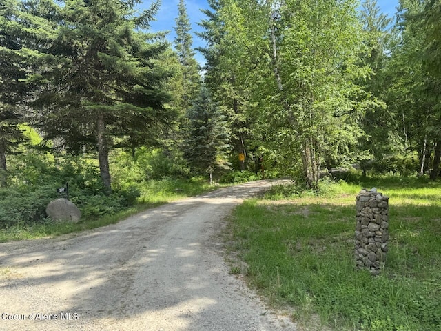 197 Berry Hl, Cocolalla, ID 83813 - view of street with a forest view