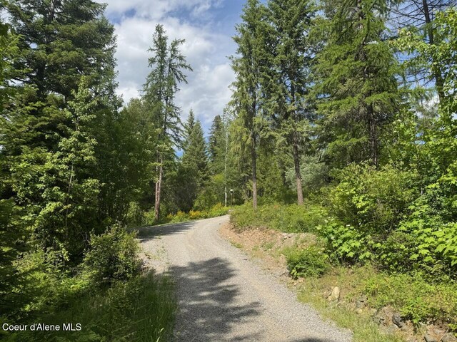 197 Berry Hl, Cocolalla, ID 83813 - view of dirt / gravel road featuring a forest view