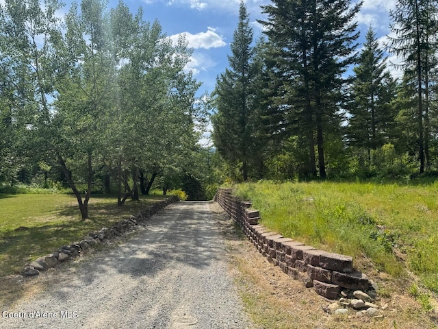 197 Berry Hl, Cocolalla, ID 83813 - view of street