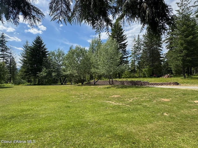 197 Berry Hl, Cocolalla, ID 83813 - view of grassy yard