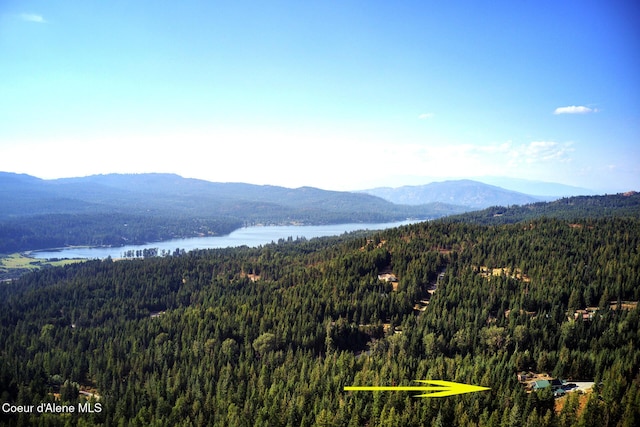 197 Berry Hl, Cocolalla, ID 83813 - view of mountain background featuring a forest and a nearby body of water