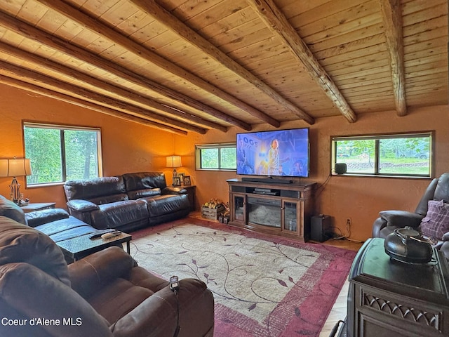 197 Berry Hl, Cocolalla, ID 83813 - living room with plenty of natural light, wood ceiling, wood finished floors, and a glass covered fireplace