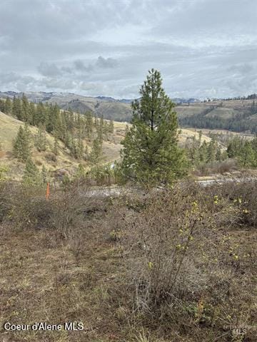 TBD Canyon Dr, Kooskia, ID 83539 - photo 4