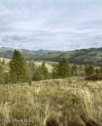 TBD Canyon Dr, Kooskia, ID 83539 - photo 11