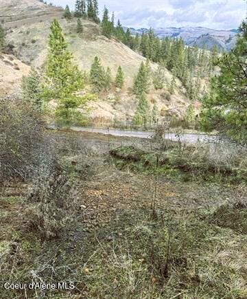 TBD Canyon Dr, Kooskia, ID 83539 - photo 14