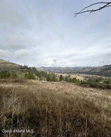 TBD Canyon Dr, Kooskia, ID 83539 - photo 15