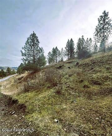 TBD Canyon Dr, Kooskia, ID 83539 - photo 16