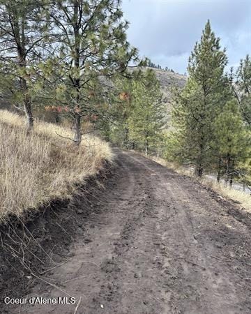 TBD Canyon Dr, Kooskia, ID 83539 - photo 17