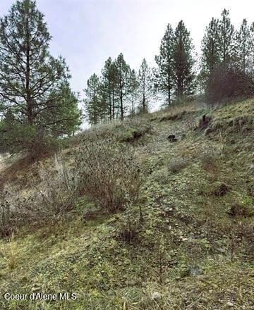 TBD Canyon Dr, Kooskia, ID 83539 - photo 22