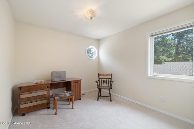 4950 E Frazier Dr, Post Falls, ID 83854 - office area featuring plenty of natural light, light carpet, and baseboards