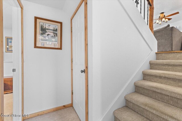 9670 N Meadow Way, Hayden, ID 83835 - stairs with carpet floors and baseboards