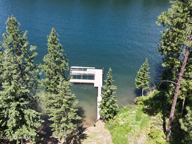 9073 W Riverview Dr, Coeur Dalene, ID 83814