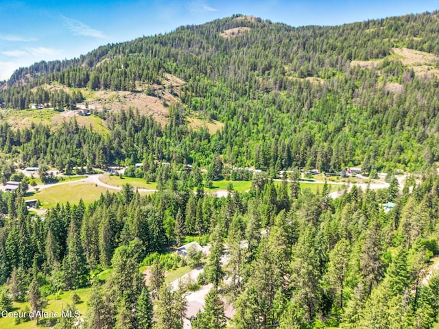 21 Midlake Dr, Sagle, ID 83860 - photo 41