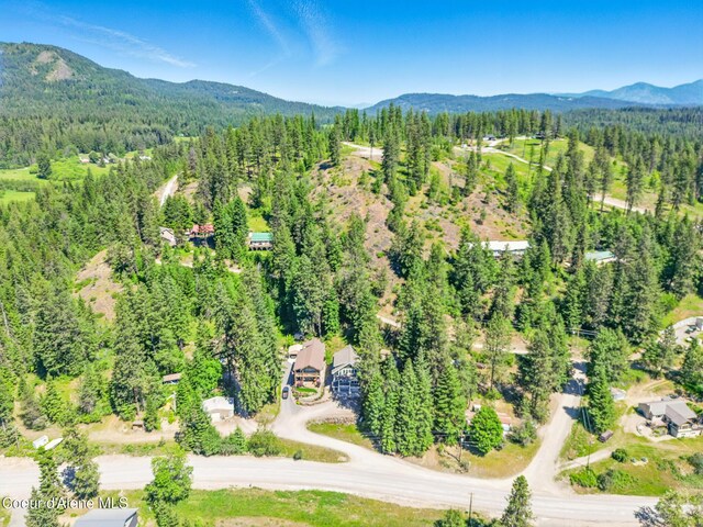 21 Midlake Dr, Sagle, ID 83860 - photo 39