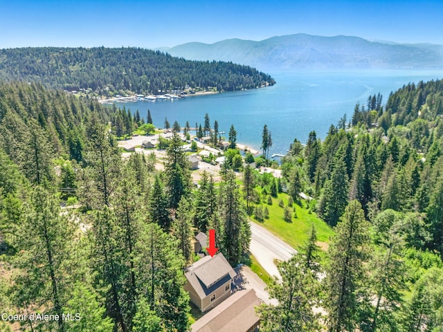 21 Midlake Dr, Sagle, ID 83860 - photo 38