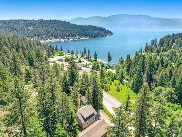 21 Midlake Dr, Sagle, ID 83860 - photo 37