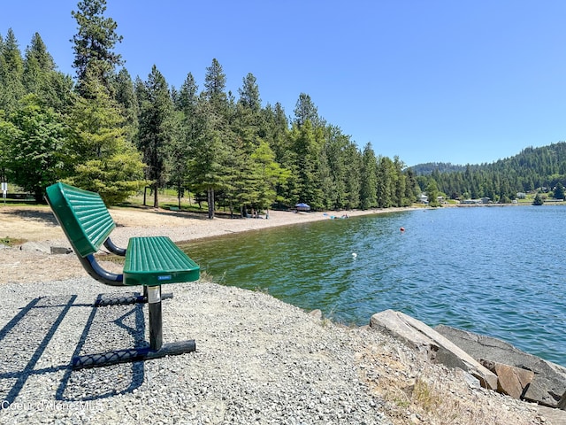 21 Midlake Dr, Sagle, ID 83860 - photo 48