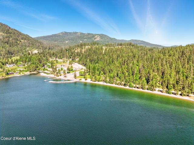 21 Midlake Dr, Sagle, ID 83860 - photo 45