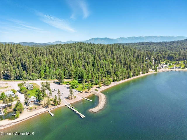 21 Midlake Dr, Sagle, ID 83860 - photo 44