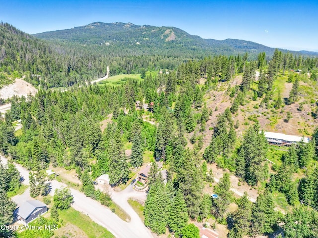 21 Midlake Dr, Sagle, ID 83860 - photo 42
