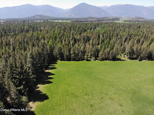 202 Sapphire, Bonners Ferry, ID 83805 - photo 3