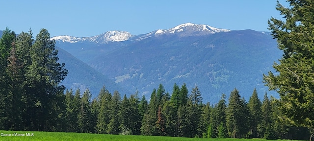 202 Sapphire, Bonners Ferry, ID 83805 - photo 5