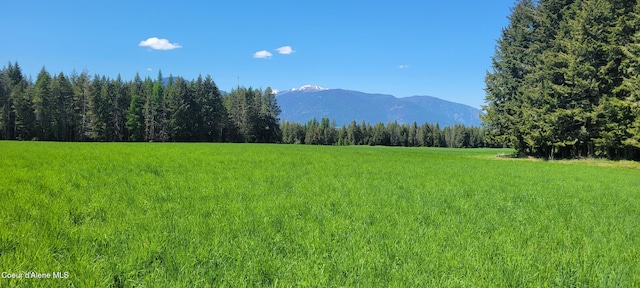 202 Sapphire, Bonners Ferry, ID 83805 - photo 8