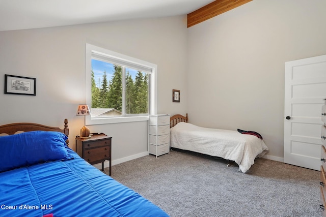204 Courtlen Ct, Priest Lake, ID 83856 - photo 43
