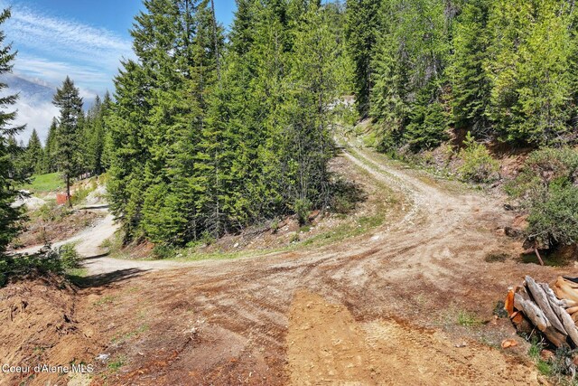 204 Courtlen Ct, Priest Lake, ID 83856 - photo 71