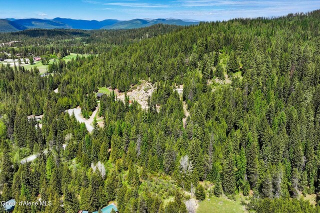 204 Courtlen Ct, Priest Lake, ID 83856 - photo 75