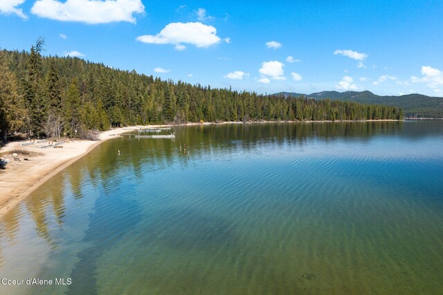 204 Courtlen Ct, Priest Lake, ID 83856 - photo 82