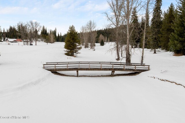 204 Courtlen Ct, Priest Lake, ID 83856 - photo 89