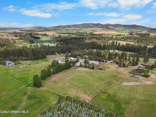 10916 E Rinear Rd, Valleyford, WA 99036 - photo 67